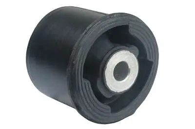 ZAP-3241 Bucha do eixo da suspensão traseira